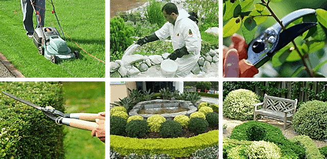Top 10 Garden Tools Every Gardener Needs: Essential Equipment for a Bountiful Garden