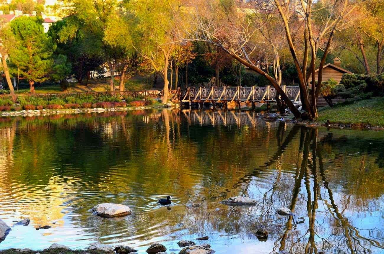 Bahçeşehir Gölet Park: İstanbul’un İlk ve En Büyük Göleti