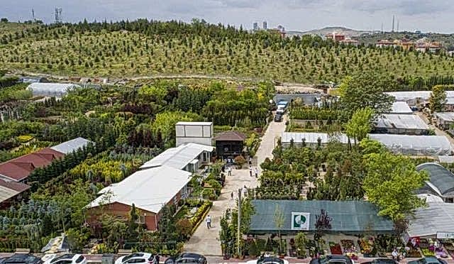 Bir Peyzaj Mimarı’nın Staj Deneyimi