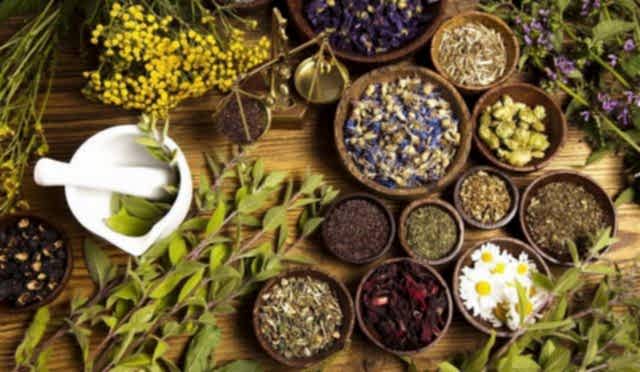 Bahçenizde kullanabileceğiniz 6 tıbbı aromatik bitki
