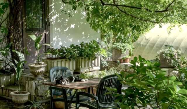 The Use of Plants in the Landscape as a Design Argument
