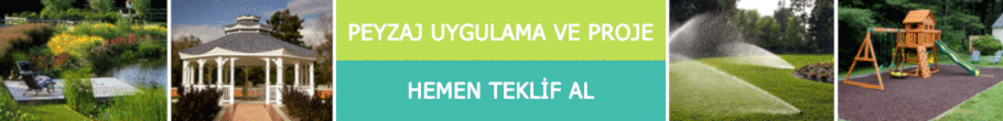 Reklam Sponsoru