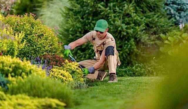 10 Easy Tips for a Low-Maintenance Garden