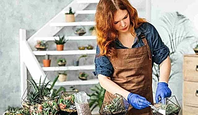 DIY Garden Decor Ideas for a Stunning Outdoor Space