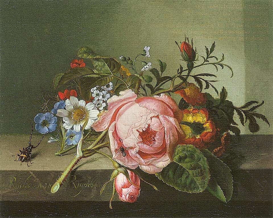 Hollanda Altın Çağı’nda Çiçekler: Rachel Ruysch’ın Sanatı
